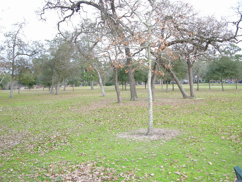 Nob Hill Park 10300 Timberoak Drive, Houston, TX 77065 (35)